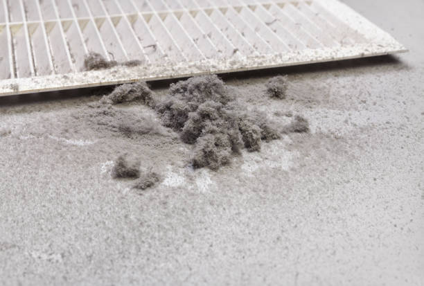 Best Air Duct Cleaning Near Me  in Bayard, NE