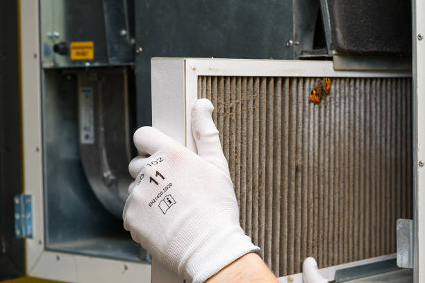 Best Duct Cleaning for Offices  in Bayard, NE
