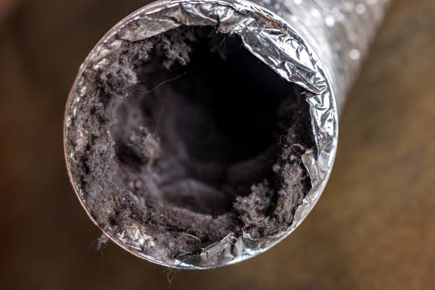 Best Affordable Air Duct Cleaning  in Bayard, NE